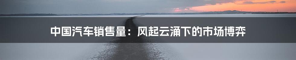 中国汽车销售量:风起云涌下的市场博弈