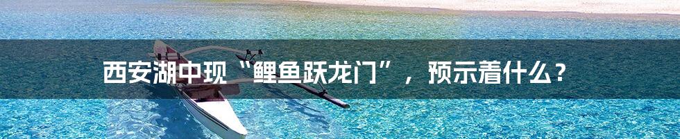 西安湖中现“鲤鱼跃龙门”,预示着什么?