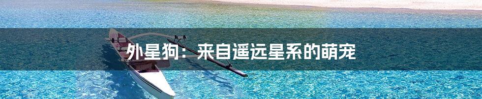 外星狗:来自遥远星系的萌宠