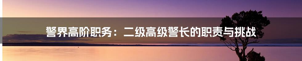 警界高阶职务:二级高级警长的职责与挑战