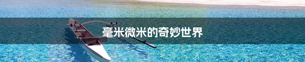 毫米微米的奇妙世界