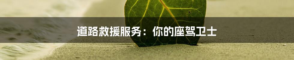 道路救援服务：你的座驾卫士