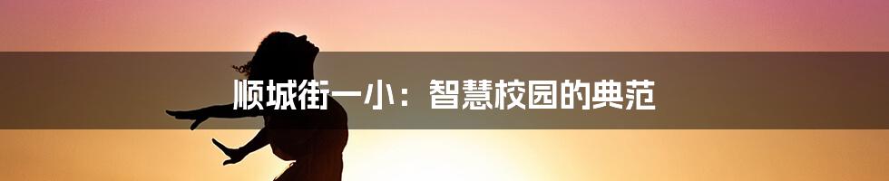 顺城街一小:智慧校园的典范