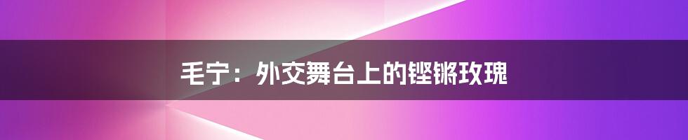 毛宁：外交舞台上的铿锵玫瑰