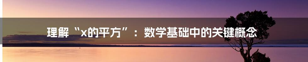 理解“x的平方”：数学基础中的关键概念