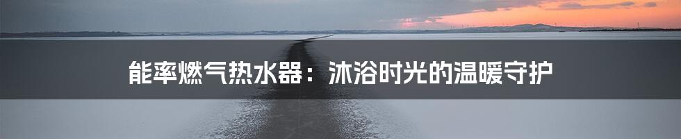 能率燃气热水器:沐浴时光的温暖守护