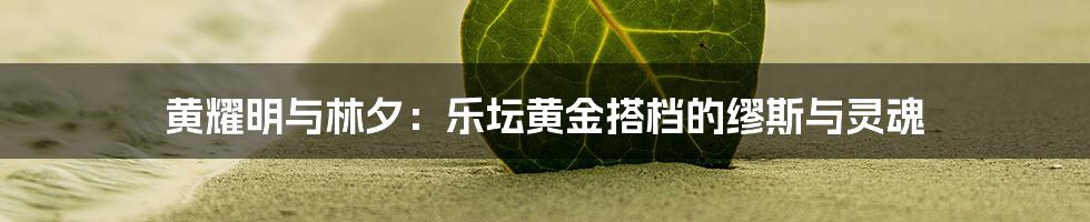 黄耀明与林夕：乐坛黄金搭档的缪斯与灵魂