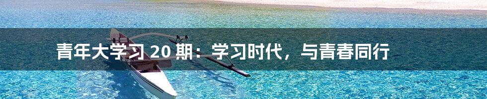 青年大学习 20 期：学习时代，与青春同行
