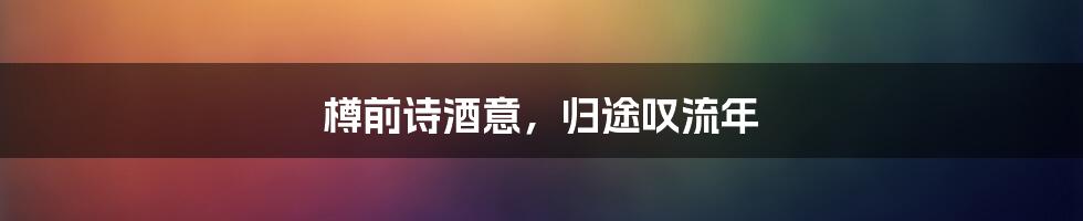 樽前诗酒意,归途叹流年