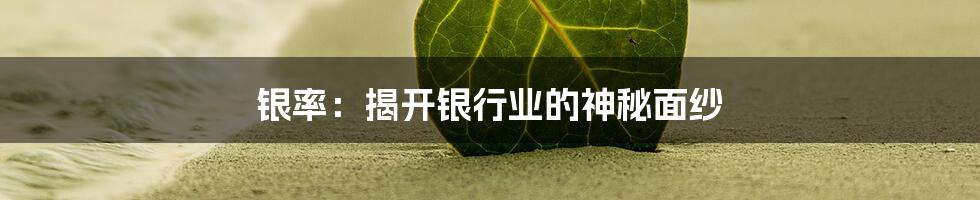 银率：揭开银行业的神秘面纱