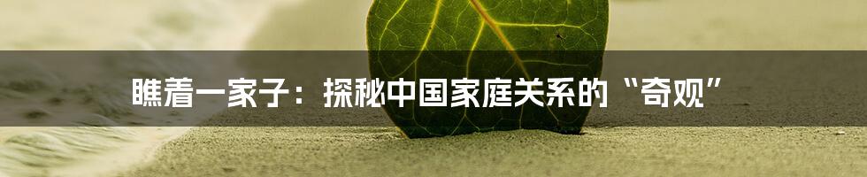 瞧着一家子:探秘中国家庭关系的“奇观”