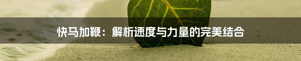 快马加鞭:解析速度与力量的完美结合