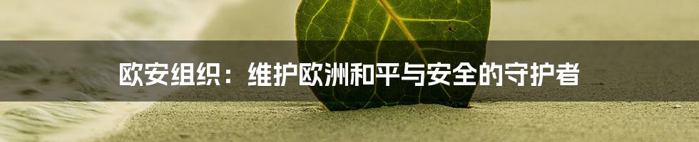 欧安组织：维护欧洲和平与安全的守护者
