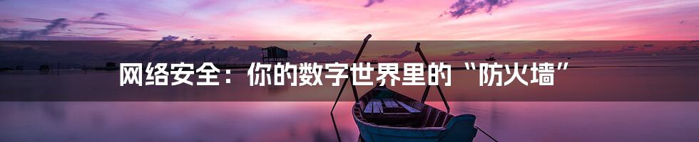 网络安全：你的数字世界里的“防火墙”