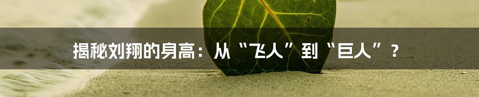 揭秘刘翔的身高:从“飞人”到“巨人”?
