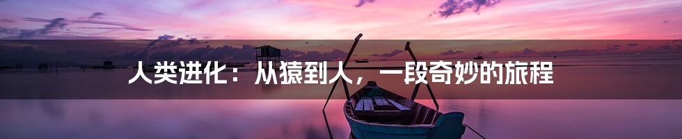 人类进化:从猿到人,一段奇妙的旅程