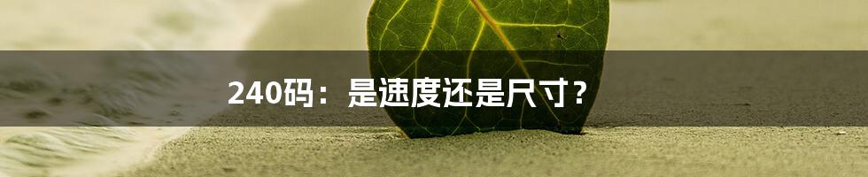 240码:是速度还是尺寸?