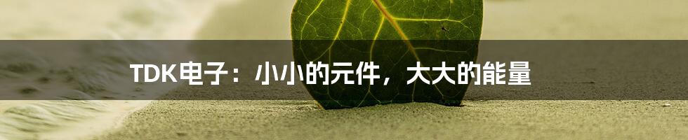 TDK电子:小小的元件,大大的能量
