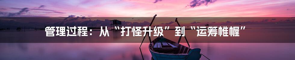 管理过程:从“打怪升级”到“运筹帷幄”