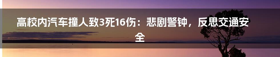 高校内汽车撞人致3死16伤:悲剧警钟,反思交通安全