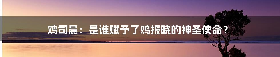 鸡司晨：是谁赋予了鸡报晓的神圣使命？
