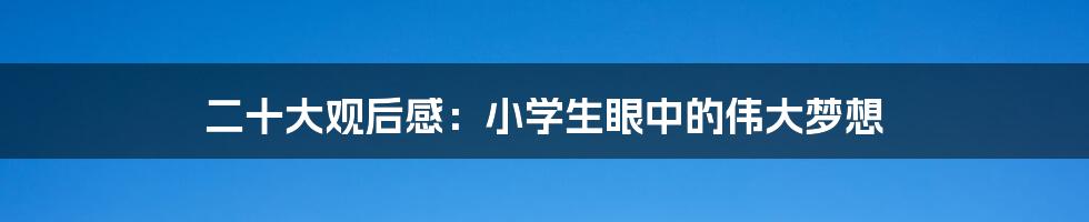 二十大观后感：小学生眼中的伟大梦想