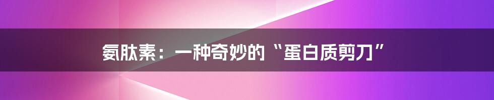 氨肽素:一种奇妙的“蛋白质剪刀”