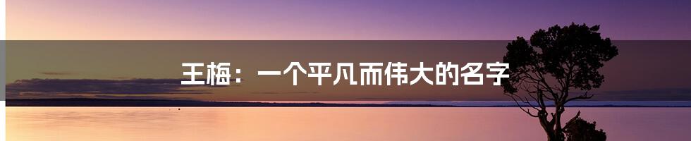 王梅:一个平凡而伟大的名字