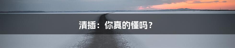 清插:你真的懂吗?