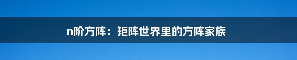 n阶方阵:矩阵世界里的方阵家族