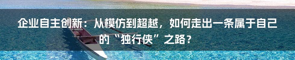 企业自主创新：从模仿到超越，如何走出一条属于自己的“独行侠”之路？