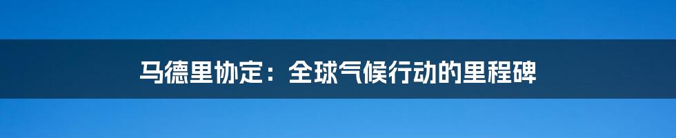 马德里协定:全球气候行动的里程碑