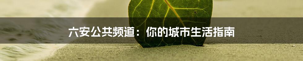 六安公共频道:你的城市生活指南