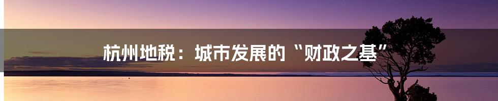 杭州地税：城市发展的“财政之基”