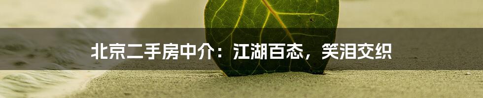 北京二手房中介:江湖百态,笑泪交织