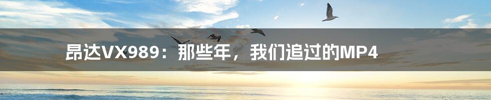 昂达VX989:那些年,我们追过的MP4