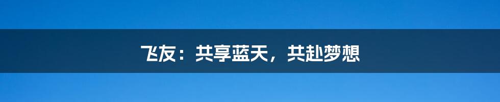 飞友：共享蓝天，共赴梦想