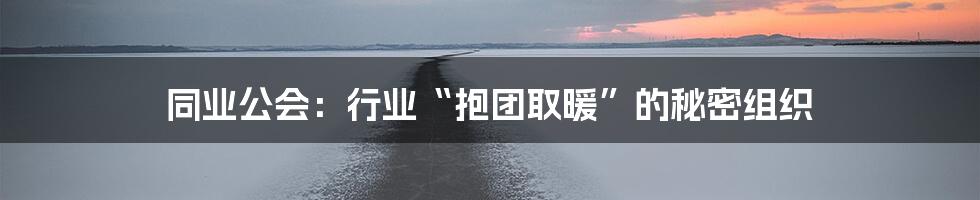 同业公会:行业“抱团取暖”的秘密组织