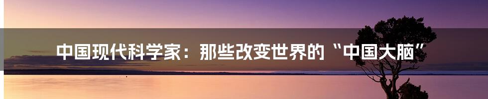 中国现代科学家：那些改变世界的“中国大脑”