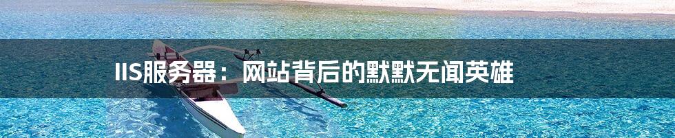 IIS服务器：网站背后的默默无闻英雄