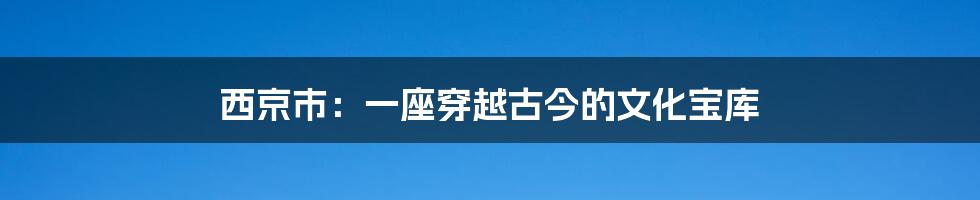 西京市：一座穿越古今的文化宝库