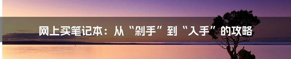 网上买笔记本:从“剁手”到“入手”的攻略