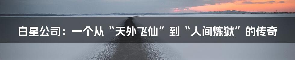 白星公司:一个从“天外飞仙”到“人间炼狱”的传奇