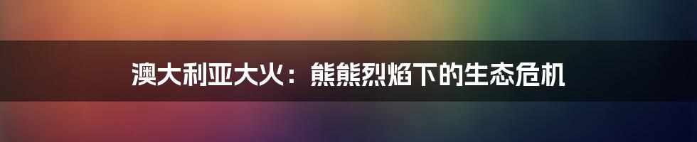 澳大利亚大火:熊熊烈焰下的生态危机