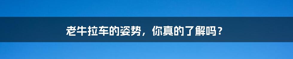 老牛拉车的姿势，你真的了解吗？
