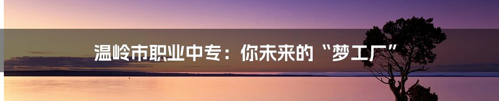 温岭市职业中专：你未来的“梦工厂”