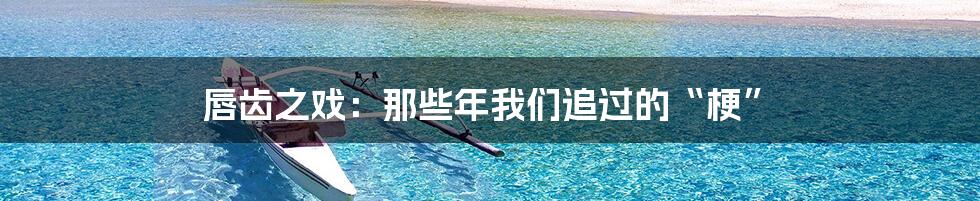 唇齿之戏:那些年我们追过的“梗”