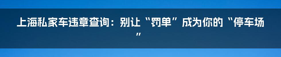 上海私家车违章查询:别让“罚单”成为你的“停车场”