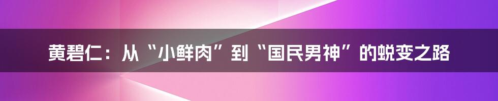 黄碧仁:从“小鲜肉”到“国民男神”的蜕变之路
