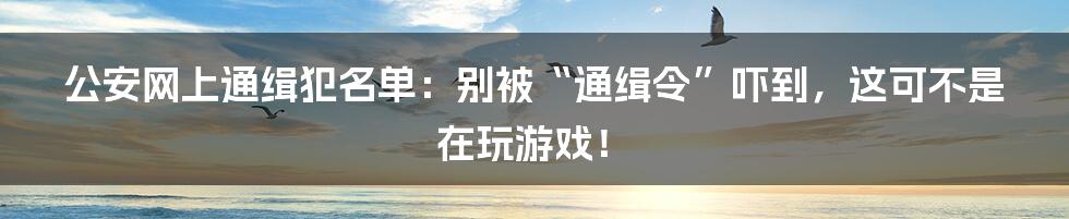 公安网上通缉犯名单:别被“通缉令”吓到,这可不是在玩游戏!